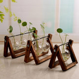 Hydroponic Plant Container with Wooden Base